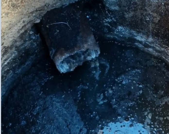 canal reprezentativa 2