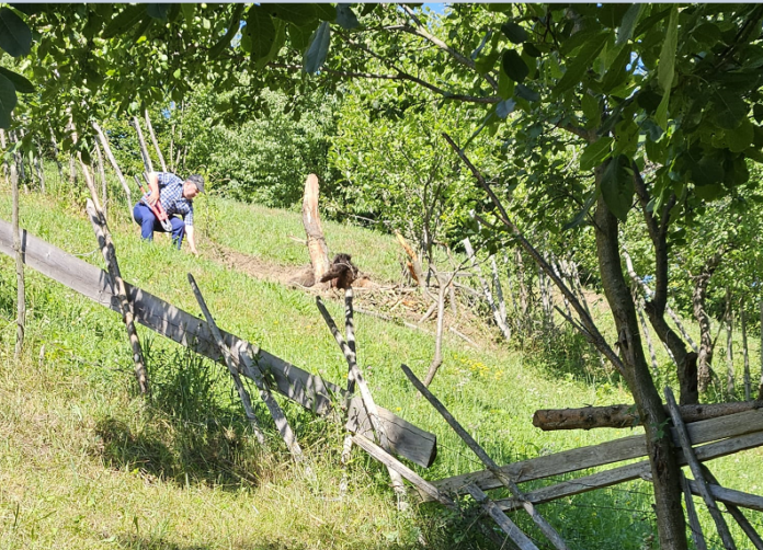 vanator atacat de urs