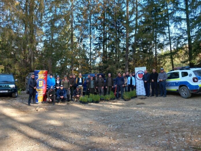 plantare puieti tasca 1