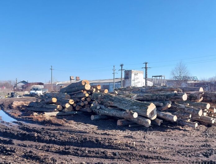 control garda forestiera 1