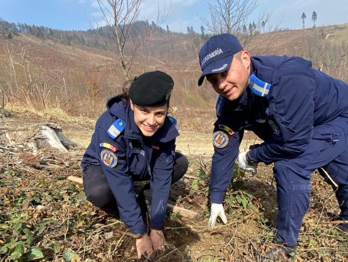 impadurire jandarmi 2