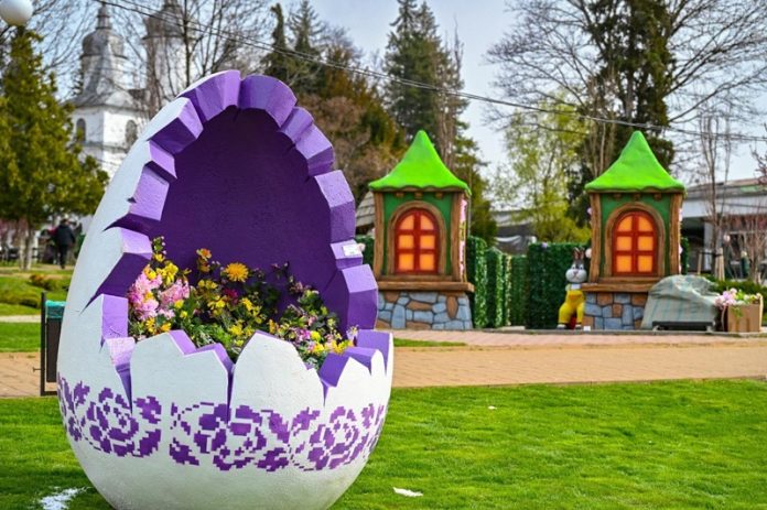 Targul de Florii (3)