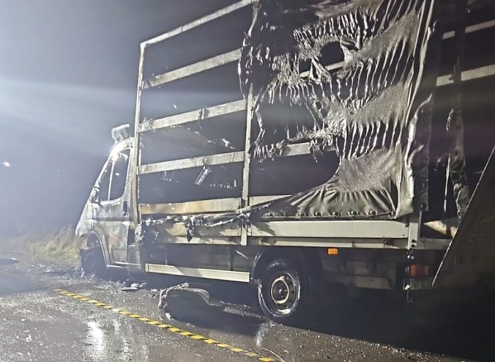 autoutilitara vice 3