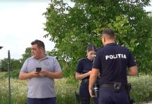 Inginer silvic condamnat pentru mită: nu mai are voie să-și exercite profesia timp de un an după eliberare