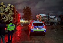 Acțiune pentru prevenirea și combaterea delictelor silvice: lemn confiscat și două vehicule indisponibilizate