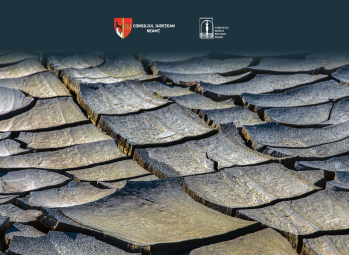 Afișul Piatra-Neamț (1) - dim redusa