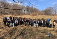 Direcția Silvică Neamț a dat startul Lunii Plantării Arborilor