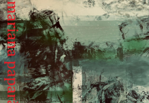 Expoziție Mariana Papară: ”Grădini interzise”