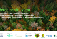 „Verde pentru Viitor” aduce natura mai aproape de oameni