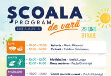 Programul Școlii de vară, ediția a XV-a