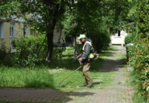 Lucrări de cosire și plantări în cartierele Dărmănești și Precista