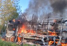 Un camion cu stupi a ars în comuna Timișești
