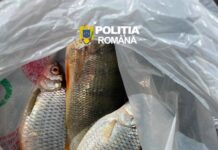 Dosar penal pentru un pescar prins în flagrant pe Lacul Bicaz