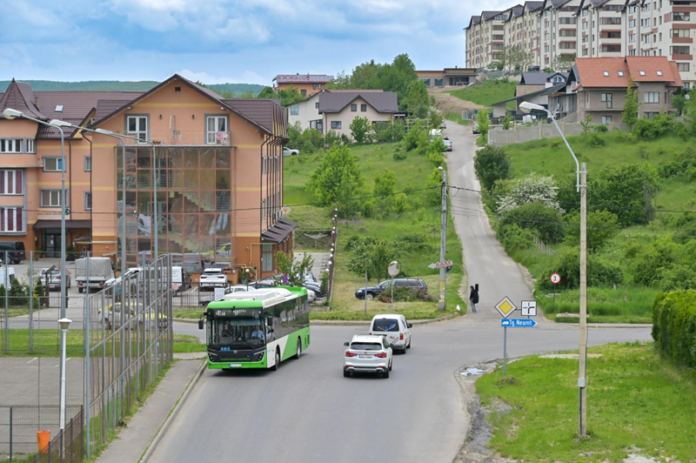 str. Fermelor (7)