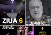 Eine Kleine Nachtmusik și Lucruri pe care le știu ca fiind adevărate în ziua a șasea a festivalului
