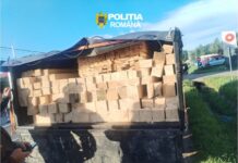 Prins cu cherestea fără acte două zile la rând