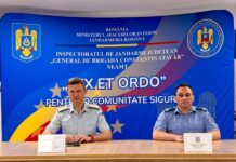 60 de apeluri la 112 privind prezența urșilor în localități, de la începutul anului