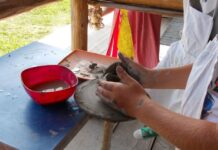 Școala de vară, ediția a XV-a