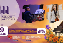 Sara Stroici – la finalul programelor camerale, portretul tânărului artist nemțean