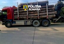 Lemn confiscat, camion sub sechestru