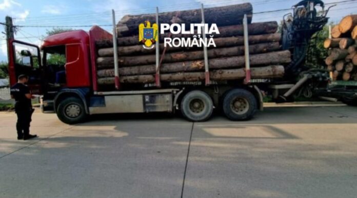 camion 2