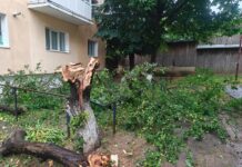 Intervenții după furtuna din Neamț: arbori căzuți, gospodării inundate și un stâlp electric rupt