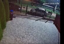 Urs filmat pe o stradă din Dănești, mesaj RO-ALERT emis și la Bicaz Chei