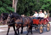 Zilele Cetății Neamț au început sub semnul celor 550 de ani de la bătălia de la Valea Albă