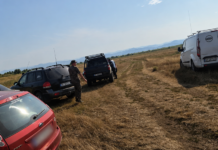 Urs căutat în comuna Girov, după ce-a apărut de mai multe ori în apropierea gospodăriilor