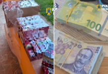Aproape 800.000 de țigări și sume mari de bani ridicate la percheziții, șapte persoane au fost reținute