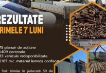 Activitățile IPJ Neamț pentru prevenirea și combaterea delictelor silvice în primele 7 luni ale anului