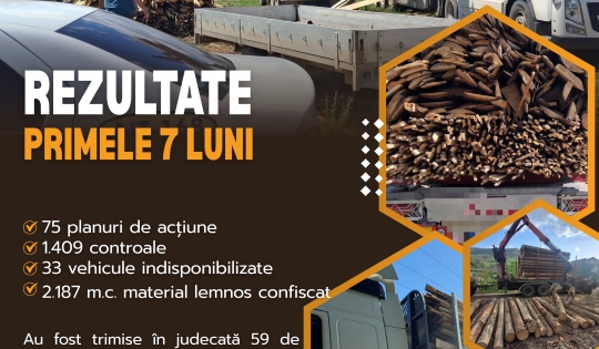 delicte silvice