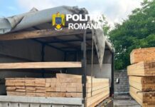 Lemn confiscat la Tămășeni și Ion Creangă