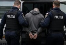 Peste 100 de petiții la IPJ Neamț după uciderea unui câine, tânăr de 20 de ani – reținut de polițiști