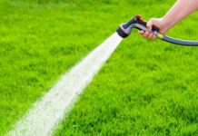 Prefectura Neamț cere restricții la consumul de apă: fără udat gazonul, umplut piscine sau spălat mașini