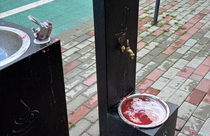 cismea vandalizata