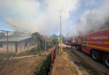 Misiune pirotehnică în comuna Costișa: grenadă descoperită pe DN 15