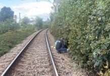 Bărbat lovit mortal de tren la Roman, se afla la cules nuci