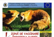 Începe campania de vaccinare antirabică a vulpilor