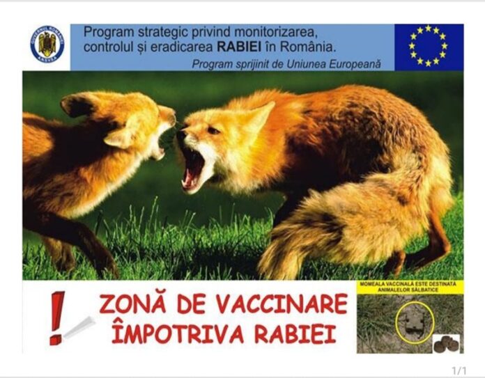 vaccinare vulpi