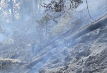 Primii pompieri au ajuns la locul incendiului din masivul Ceahlău (video)