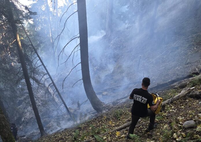 incendiu masiv repr