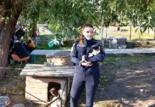 Un cadou pentru Codiță: de Ziua Internațională a Animalelor, polițiștii au fost alături de prietenii necuvântători